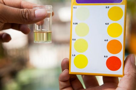 Why Water Testing Is Important After Florida's Summer Storm Season